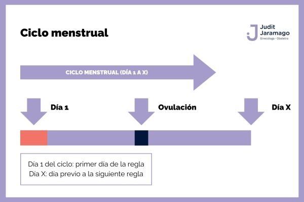 Ciclo menstrual. Siete motivos para consultar con un especialista 1 Ciclo menstrual Gestor Web
